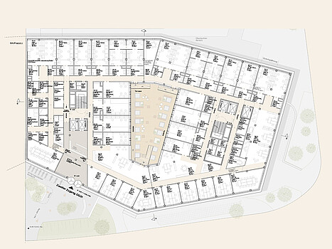 Erstes Obergeschoss (OG1) Life Science Center Plan vom ersten Obergeschoss