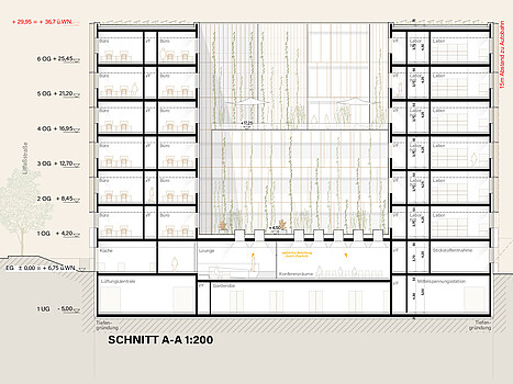 Schnitt A Life Science Center Plan Schnitt A