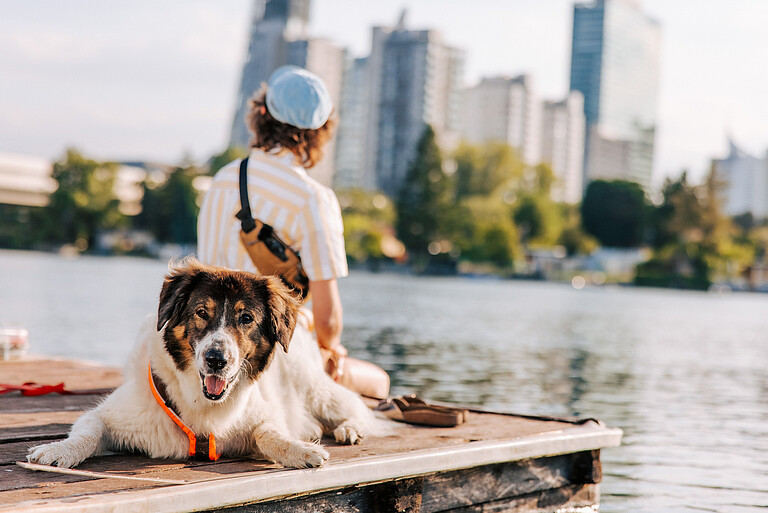 Leben und Arbeiten in Wien: Eine Frau sitzt mit dem Rücken zur Kamera auf einem Steg. Hinter ihr liegt ein Hund, der in die Kamera schaut.